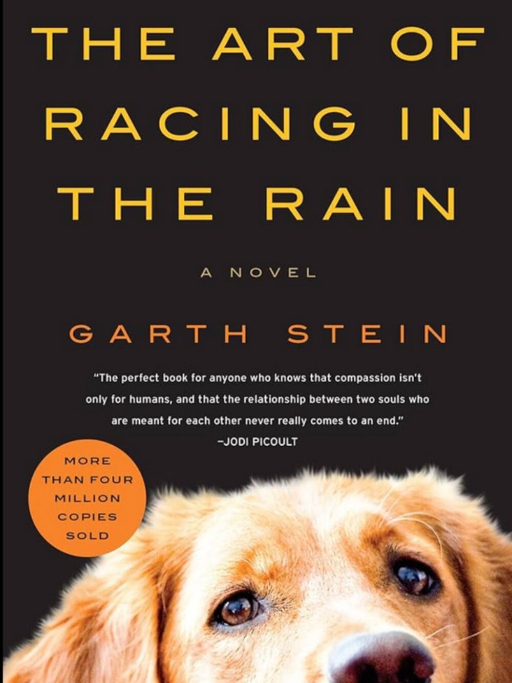 🍍 Book: The Art of Racing in the Rain by Garth Stein